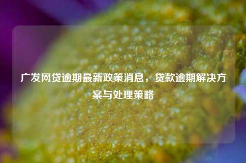 广发网贷逾期最新政策消息，贷款逾期解决方案与处理策略