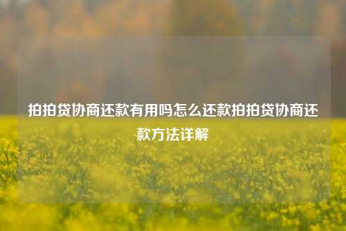 拍拍贷协商还款有用吗怎么还款拍拍贷协商还款方法详解