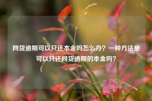 网贷逾期可以只还本金吗怎么办？一种方法是可以只还网贷逾期的本金吗？