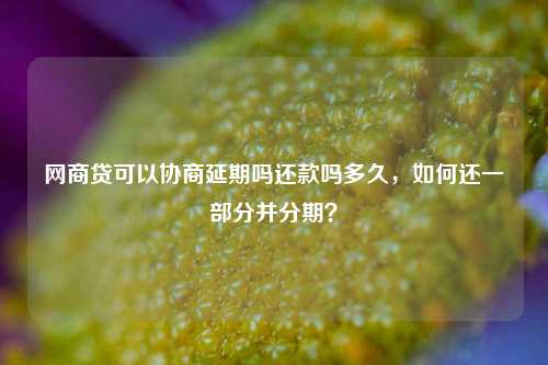 网商贷可以协商延期吗还款吗多久，如何还一部分并分期？