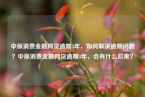 中原消费金融网贷逾期3年，如何解决逾期问题？中原消费金融网贷逾期3年，会有什么后果？