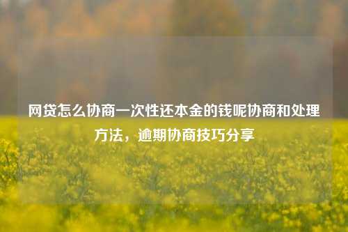 网贷怎么协商一次性还本金的钱呢协商和处理方法，逾期协商技巧分享