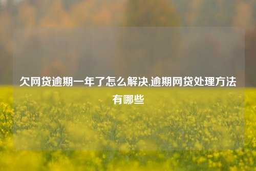 欠网贷逾期一年了怎么解决,逾期网贷处理方法有哪些