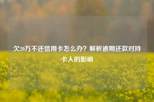 欠20万不还信用卡怎么办？解析逾期还款对持卡人的影响