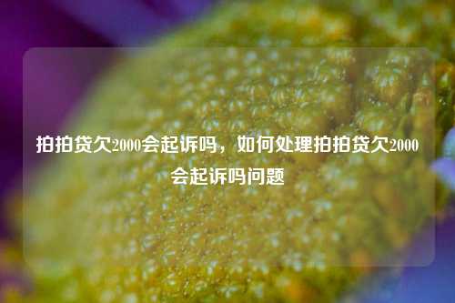 拍拍贷欠2000会起诉吗，如何处理拍拍贷欠2000会起诉吗问题