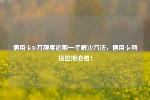 信用卡30万额度逾期一年解决方法，信用卡网贷逾期必看！