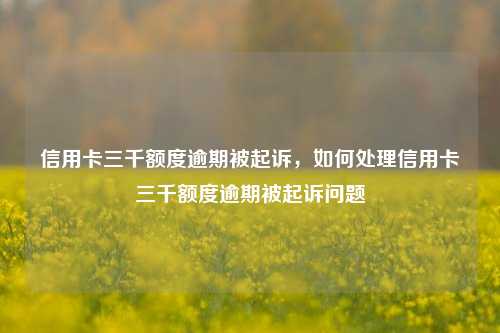 信用卡三千额度逾期被起诉，如何处理信用卡三千额度逾期被起诉问题