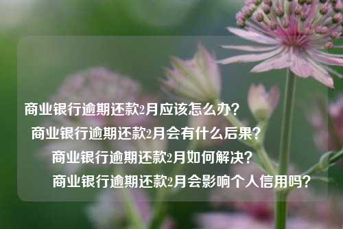 商业银行逾期还款2月应该怎么办？                    商业银行逾期还款2月会有什么后果？                    商业银行逾期还款2月如何解决？                    商业银行逾期还款2月会影响个人信用吗？