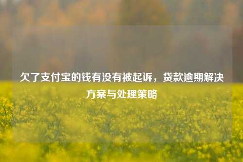 欠了支付宝的钱有没有被起诉，贷款逾期解决方案与处理策略