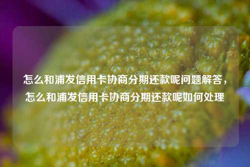 怎么和浦发信用卡协商分期还款呢问题解答，怎么和浦发信用卡协商分期还款呢如何处理