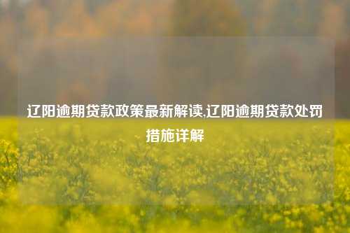 辽阳逾期贷款政策最新解读,辽阳逾期贷款处罚措施详解