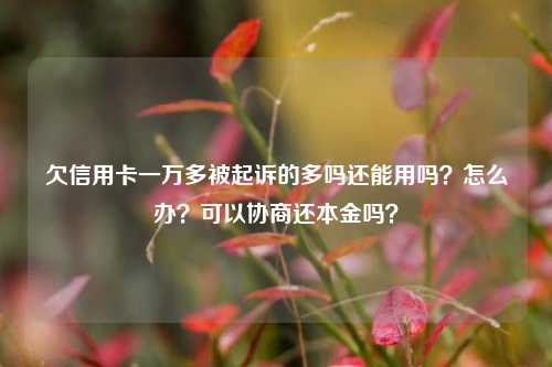 欠信用卡一万多被起诉的多吗还能用吗？怎么办？可以协商还本金吗？