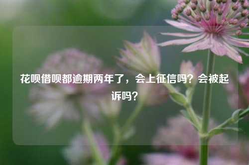 花呗借呗都逾期两年了，会上征信吗？会被起诉吗？