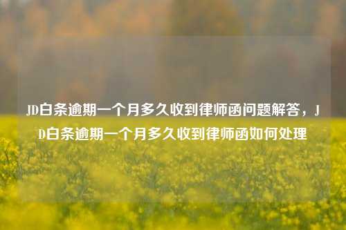 JD白条逾期一个月多久收到律师函问题解答，JD白条逾期一个月多久收到律师函如何处理