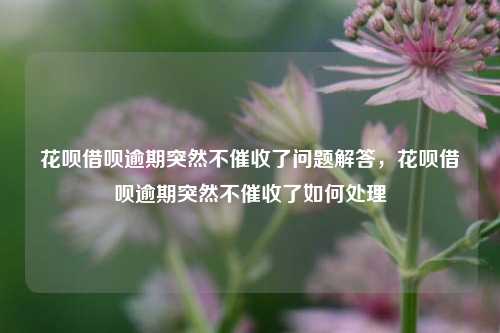 花呗借呗逾期突然不催收了问题解答，花呗借呗逾期突然不催收了如何处理