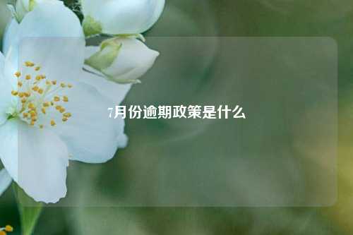 7月份逾期政策是什么