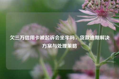 欠三万信用卡被起诉会坐牢吗，贷款逾期解决方案与处理策略