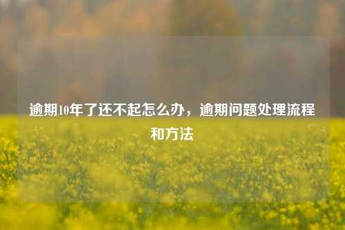 逾期10年了还不起怎么办，逾期问题处理流程和方法