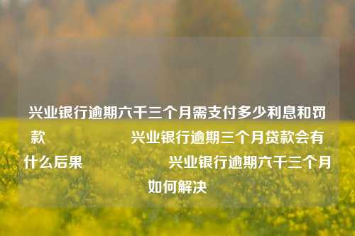 兴业银行逾期六千三个月需支付多少利息和罚款                    兴业银行逾期三个月贷款会有什么后果                    兴业银行逾期六千三个月如何解决