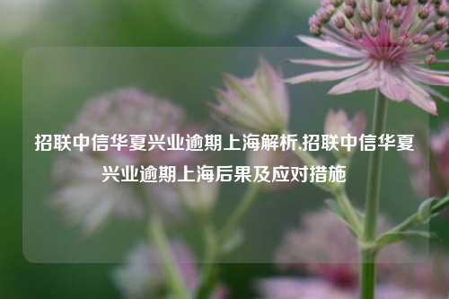 招联中信华夏兴业逾期上海解析,招联中信华夏兴业逾期上海后果及应对措施