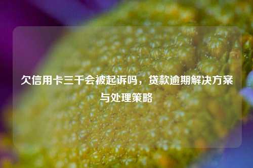 欠信用卡三千会被起诉吗，贷款逾期解决方案与处理策略