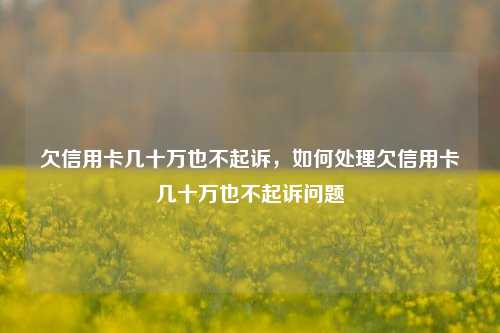 欠信用卡几十万也不起诉，如何处理欠信用卡几十万也不起诉问题