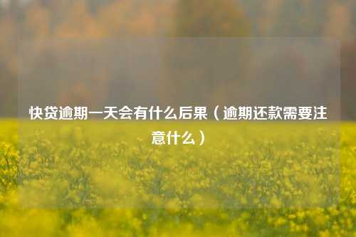 快贷逾期一天会有什么后果（逾期还款需要注意什么）