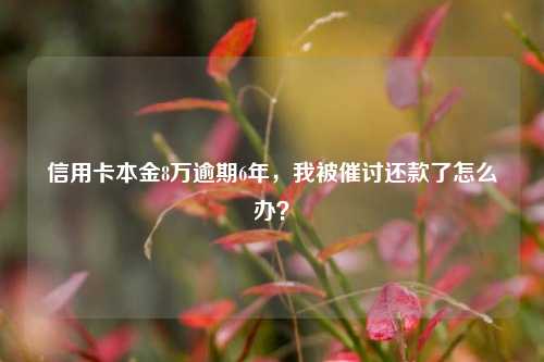 信用卡本金8万逾期6年，我被催讨还款了怎么办？