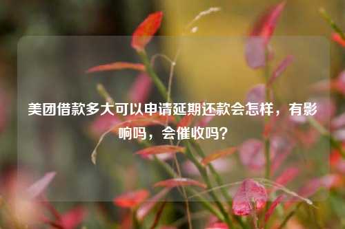 美团借款多大可以申请延期还款会怎样，有影响吗，会催收吗？