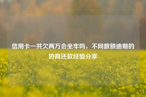 信用卡一共欠两万会坐牢吗，不同数额逾期的协商还款经验分享