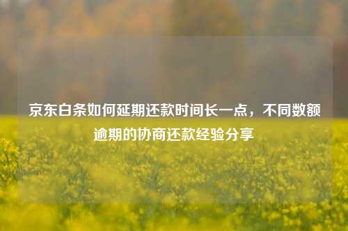 京东白条如何延期还款时间长一点，不同数额逾期的协商还款经验分享