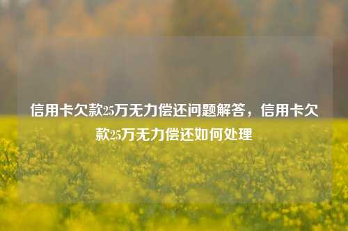 信用卡欠款25万无力偿还问题解答，信用卡欠款25万无力偿还如何处理