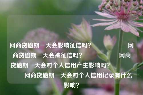 网商贷逾期一天会影响征信吗？                    网商贷逾期一天会被征信吗？                    网商贷逾期一天会对个人信用产生影响吗？                    网商贷逾期一天会对个人信用记录有什么影响？