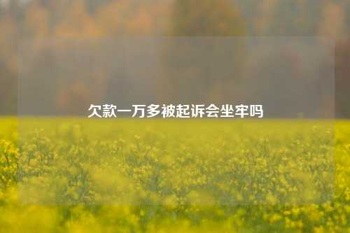 欠款一万多被起诉会坐牢吗