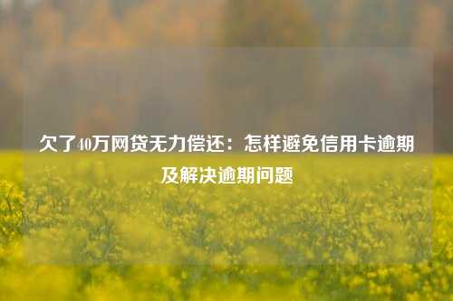 欠了40万网贷无力偿还：怎样避免信用卡逾期及解决逾期问题