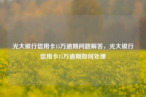 光大银行信用卡15万逾期问题解答，光大银行信用卡15万逾期如何处理