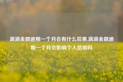 滴滴金融逾期一个月会有什么后果,滴滴金融逾期一个月会影响个人信用吗