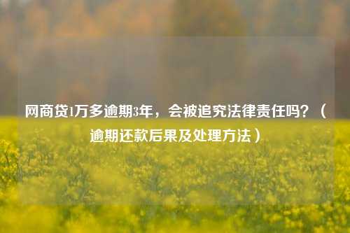 网商贷1万多逾期3年，会被追究法律责任吗？（逾期还款后果及处理方法）