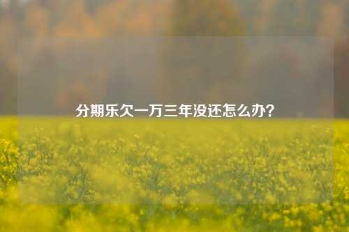 分期乐欠一万三年没还怎么办？