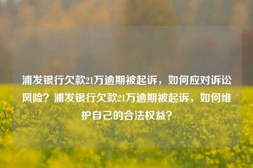 浦发银行欠款21万逾期被起诉，如何应对诉讼风险？浦发银行欠款21万逾期被起诉，如何维护自己的合法权益？