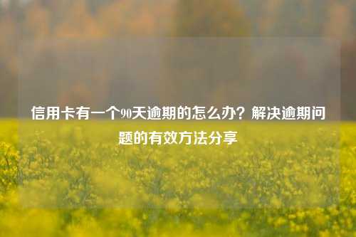 信用卡有一个90天逾期的怎么办？解决逾期问题的有效方法分享