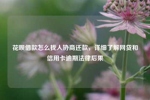 花呗借款怎么找人协商还款，详细了解网贷和信用卡逾期法律后果