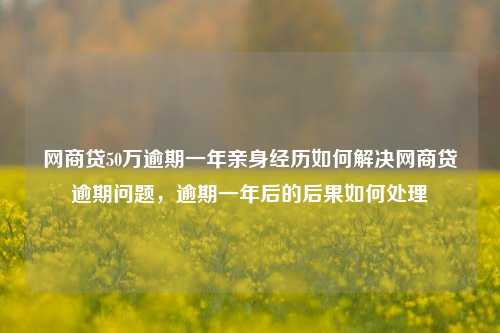 网商贷50万逾期一年亲身经历如何解决网商贷逾期问题，逾期一年后的后果如何处理