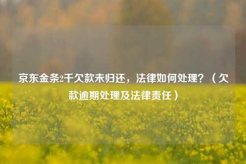 京东金条2千欠款未归还，法律如何处理？（欠款逾期处理及法律责任）