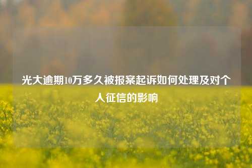 光大逾期10万多久被报案起诉如何处理及对个人征信的影响