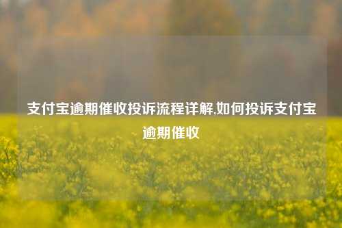 支付宝逾期催收投诉流程详解,如何投诉支付宝逾期催收