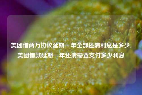 美团借两万协议延期一年全部还清利息是多少,美团借款延期一年还清需要支付多少利息