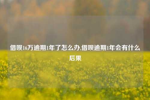 借呗16万逾期1年了怎么办,借呗逾期1年会有什么后果