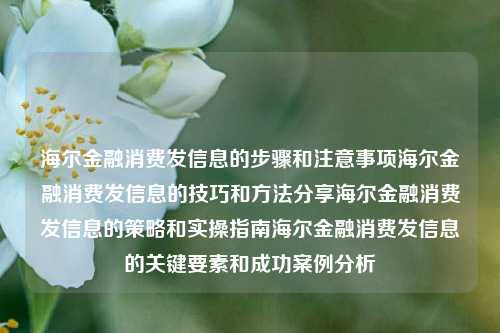 海尔金融消费发信息的步骤和注意事项海尔金融消费发信息的技巧和方法分享海尔金融消费发信息的策略和实操指南海尔金融消费发信息的关键要素和成功案例分析