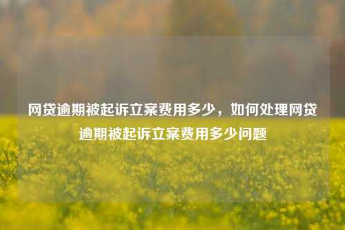 网贷逾期被起诉立案费用多少，如何处理网贷逾期被起诉立案费用多少问题